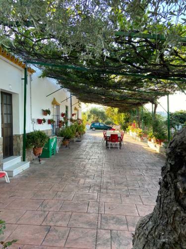 La Ponderosa Casa de Campo Sierra Grazalema