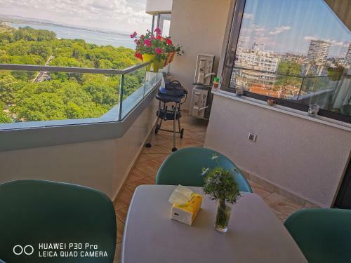 Luxury Apartments Alix