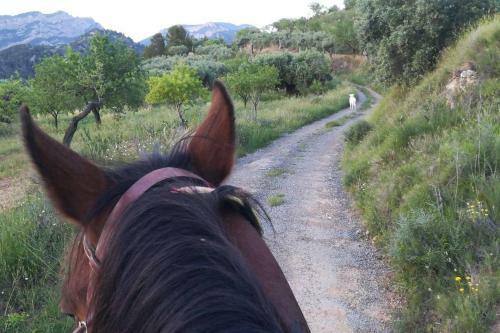 Villa Can Miquel�: Casa Familiar R�stica