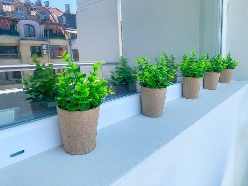 Kiko Apartament Burgas