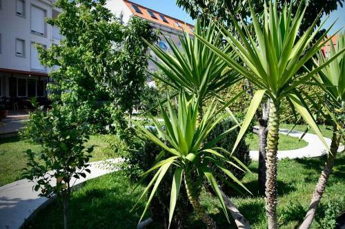 Pincheiro Apartamentos Tur�sticos