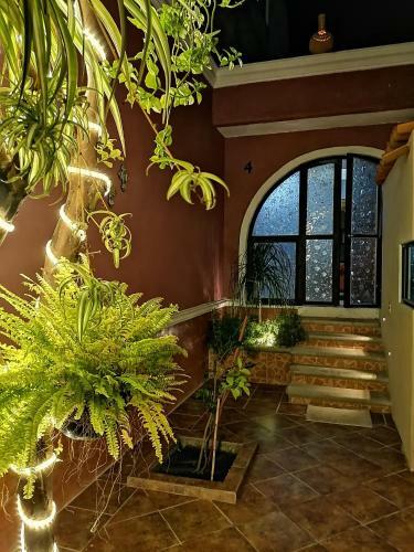 Apartamento Lake Chapala Main Plaza
