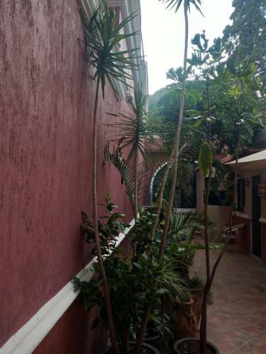 Apartamento Lake Chapala Main Plaza