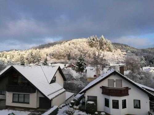 Traditional Apartment In Adenau With Terrace