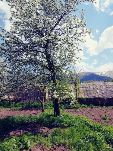 Hostal Tatev Guest House