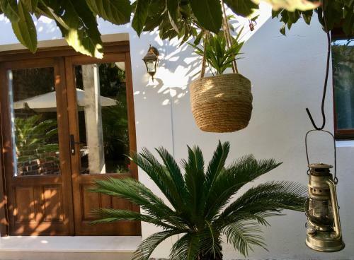 Apartamento Palmera