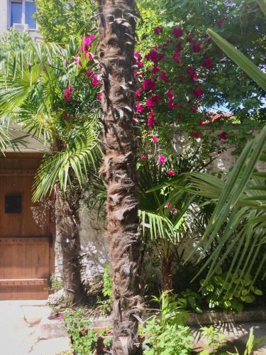 Apartamento Palmera