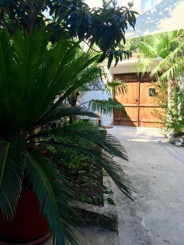 Apartamento Palmera