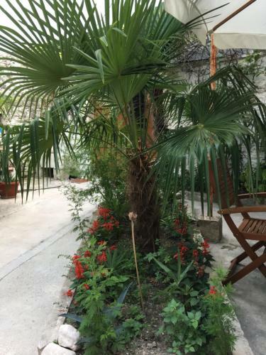 Apartamento Palmera