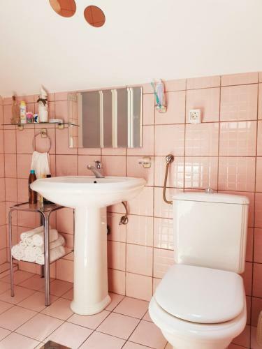 Central Studio Apartment With Parking, Balcony & Garden