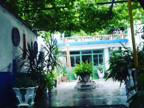 Hostel Sema