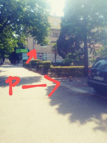 Big Tree Apartment & The Nest Apartment - Free Parking