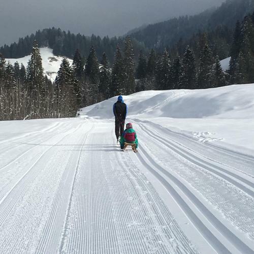 Apartamento G�stehaus Metzler