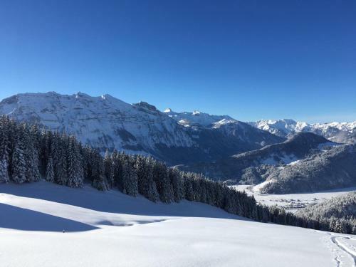 Apartamento G�stehaus Metzler