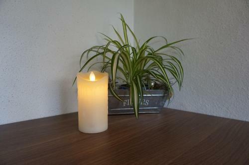 Apartamento G�stehaus Metzler