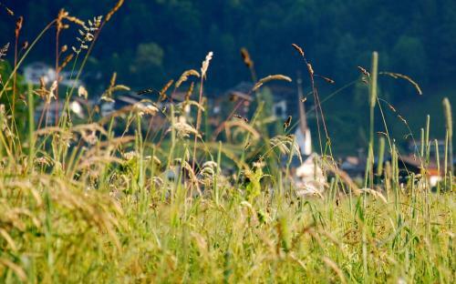 Apartamento G�stehaus Metzler