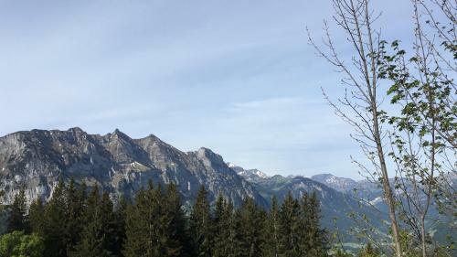 Apartamento G�stehaus Metzler