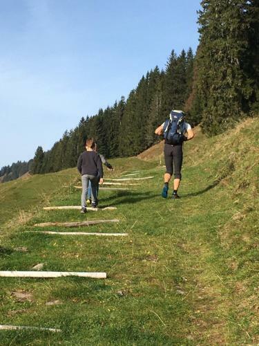 Apartamento G�stehaus Metzler