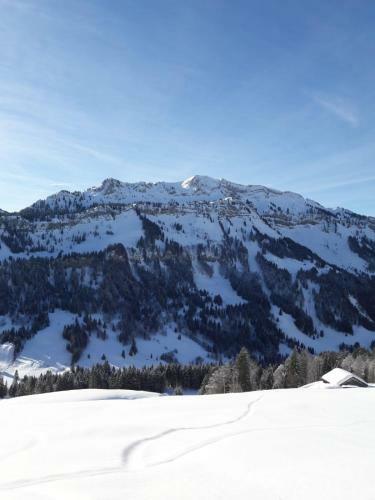 Apartamento G�stehaus Metzler