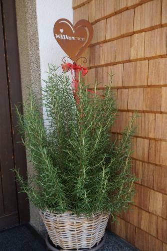 Apartamento G�stehaus Metzler