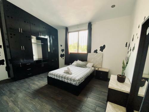 Vista M�gica Chetumal