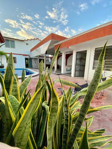 Vista M�gica Chetumal