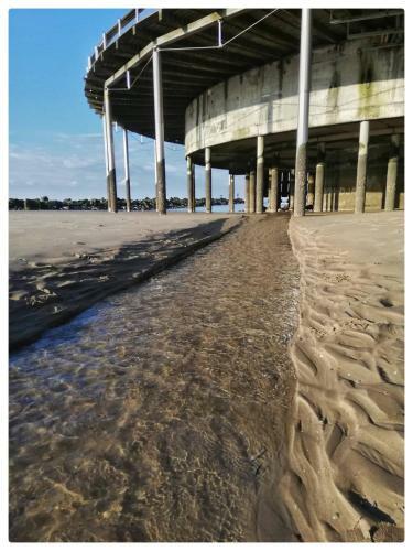 Apartamento Studio Zeedijk Blankenberge