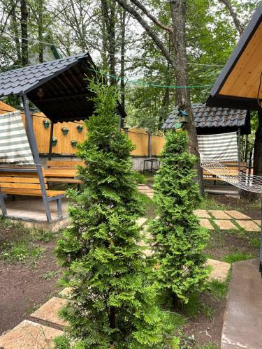 Eco Chalet Tsaghkadzor