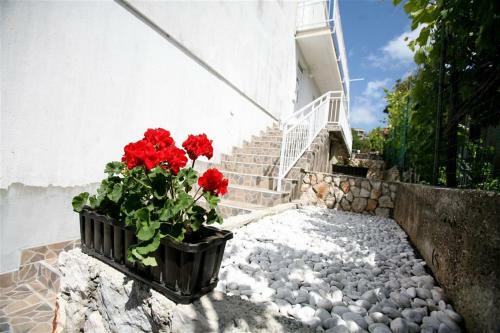 Apartmani Top, Neum
