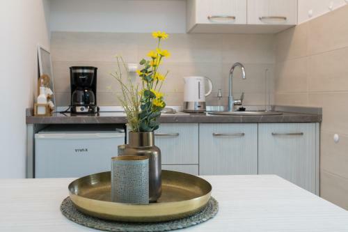 Apartmani Iva