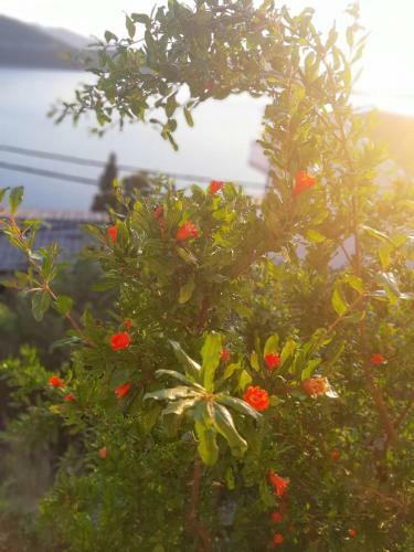 Apartmani Panorama 32 Neum