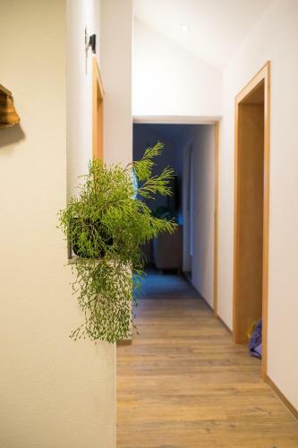 Apartamento Appartement Christiane