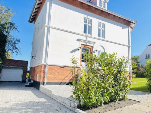 Hostal Aday - City Central Mansion - Privat Room