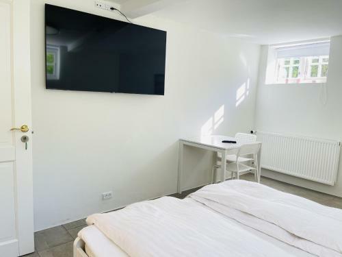 Hostal Aday - City Central Mansion - Privat Room