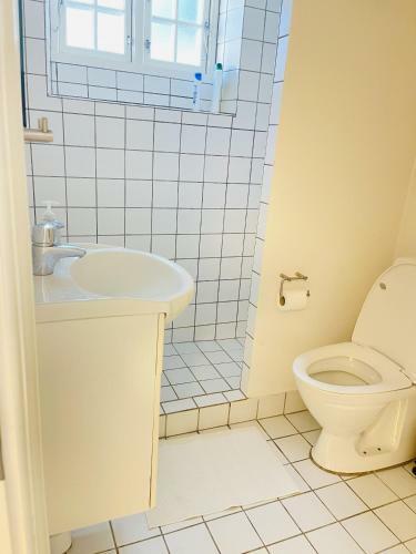 Hostal Aday - City Central Mansion - Privat Room