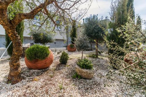 Villa Ayia Marina