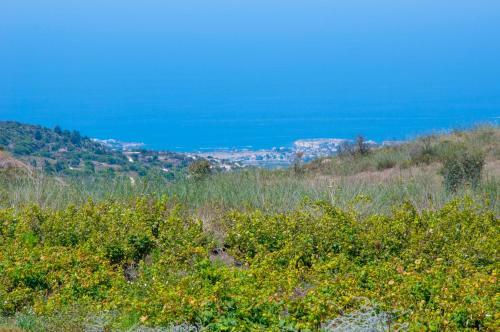 Villa Ayia Marina