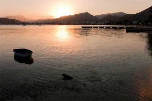 Apartment Near The Pine Walk