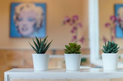 Hipoclub Villas,"tabaro"villa