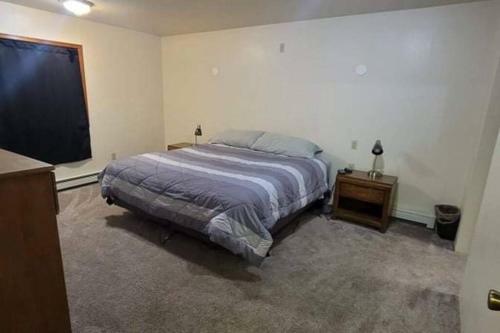 Whole Home, Airstrip/float Access, Aurora Viewing!
