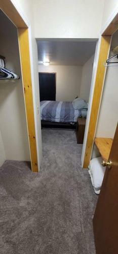 Whole Home, Airstrip/float Access, Aurora Viewing!