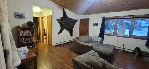 Whole Home, Airstrip/float Access, Aurora Viewing!