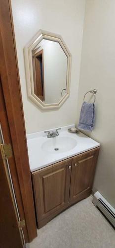 Whole Home, Airstrip/float Access, Aurora Viewing!