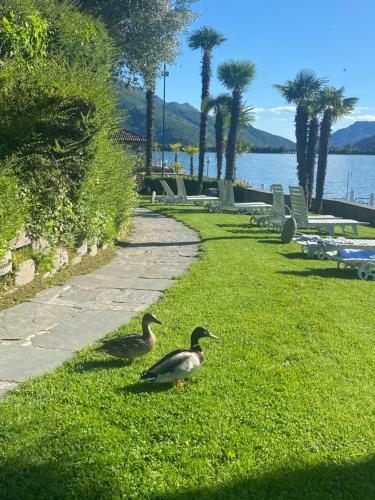 Apartamento Holidays On The Lake Lugano 111