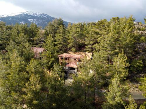 Lodge Kardama Hideaway