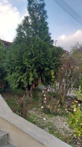 Protopapas House