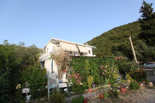 Sea Apartments Bunec