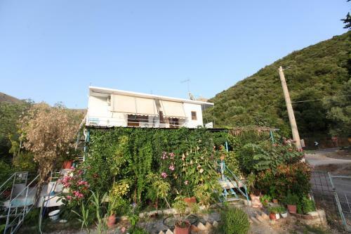 Sea Apartments Bunec