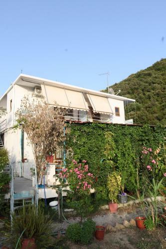 Sea Apartments Bunec
