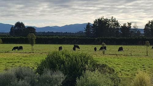 Villa Ohoka Country Retreat